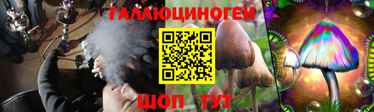 Галлюциногенные грибы MAGIC MUSHROOMS Гусиноозёрск
