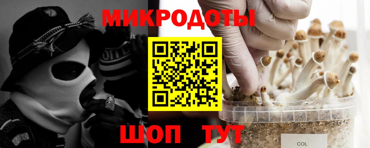 Галлюциногенные грибы Cubensis  купить наркотики сайты  Гусиноозёрск  Вход с VPN 